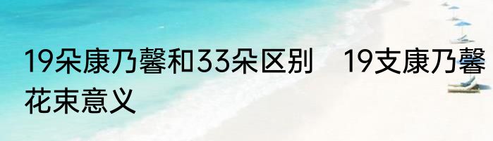 19朵康乃馨和33朵区别　19支康乃馨花束意义
