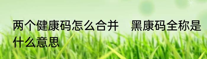 两个健康码怎么合并　黑康码全称是什么意思