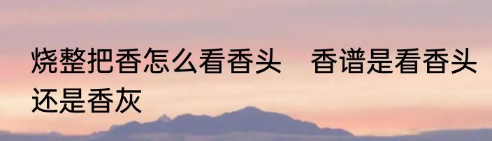 烧整把香怎么看香头　香谱是看香头还是香灰