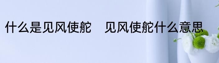 什么是见风使舵　见风使舵什么意思