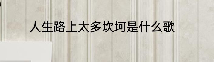 人生路上太多坎坷是什么歌