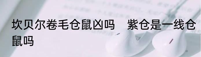 坎贝尔卷毛仓鼠凶吗　紫仓是一线仓鼠吗