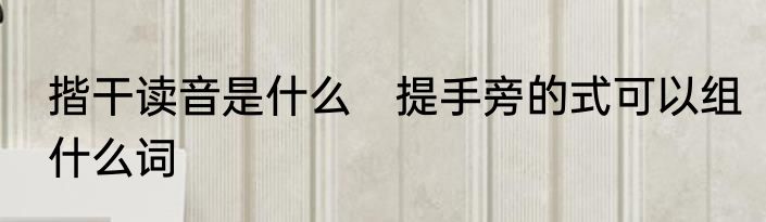揩干读音是什么　提手旁的式可以组什么词