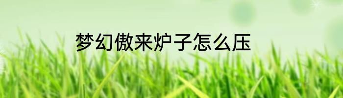 梦幻傲来炉子怎么压