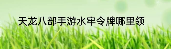 天龙八部手游水牢令牌哪里领