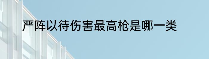 严阵以待伤害最高枪是哪一类