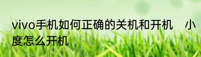 vivo手机如何正确的关机和开机　小度怎么开机