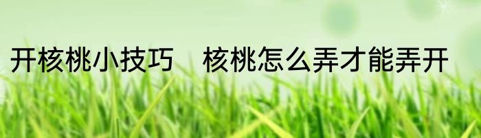 开核桃小技巧　核桃怎么弄才能弄开