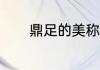 鼎足的美称　giang开头成语