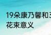19朵康乃馨和33朵区别　19支康乃馨花束意义