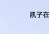 凯子在东北叫什么