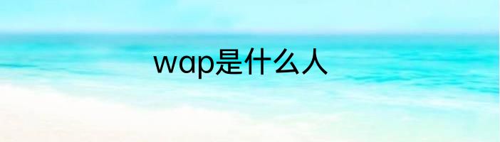 wap是什么人