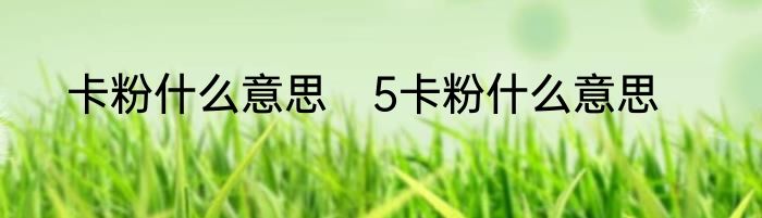 卡粉什么意思　5卡粉什么意思