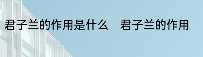 君子兰的作用是什么　君子兰的作用