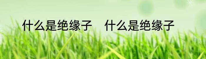 什么是绝缘子　什么是绝缘子