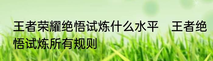 王者荣耀绝悟试炼什么水平　王者绝悟试炼所有规则