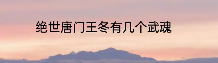 绝世唐门王冬有几个武魂