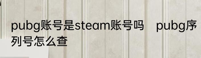 pubg账号是steam账号吗　pubg序列号怎么查