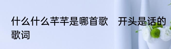 什么什么芊芊是哪首歌　开头是话的歌词