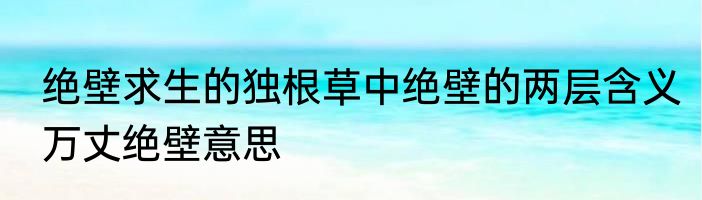 绝壁求生的独根草中绝壁的两层含义　万丈绝壁意思