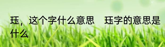 珏，这个字什么意思　珏字的意思是什么