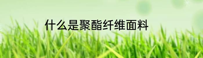 什么是聚酯纤维面料