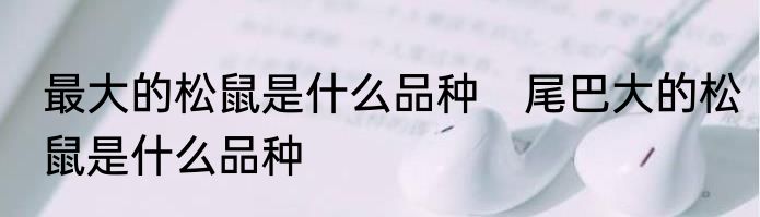 最大的松鼠是什么品种　尾巴大的松鼠是什么品种