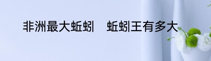 非洲最大蚯蚓　蚯蚓王有多大