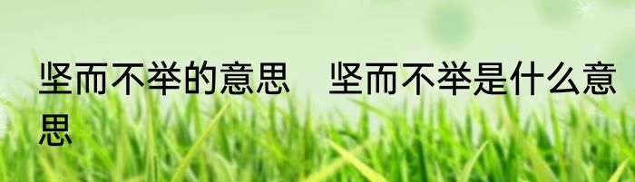 坚而不举的意思　坚而不举是什么意思