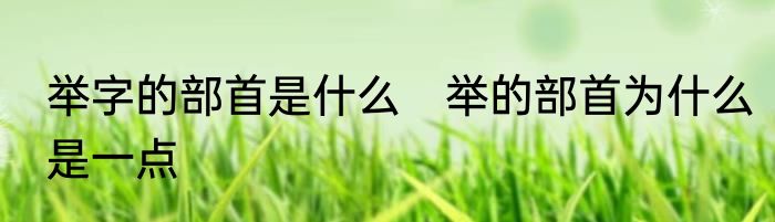 举字的部首是什么　举的部首为什么是一点