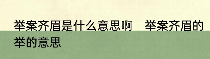 举案齐眉是什么意思啊　举案齐眉的举的意思