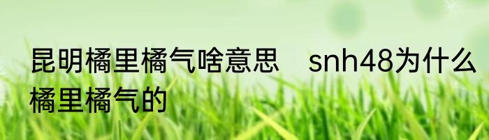 昆明橘里橘气啥意思　snh48为什么橘里橘气的