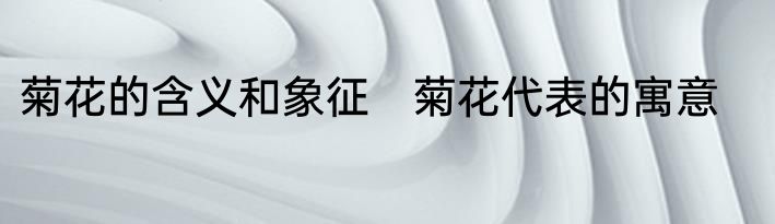 菊花的含义和象征　菊花代表的寓意