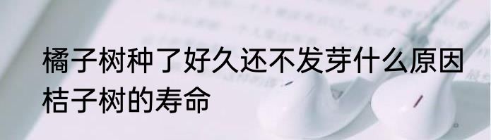 橘子树种了好久还不发芽什么原因　桔子树的寿命