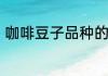 咖啡豆子品种的区别　黄豆咖啡做法