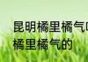 昆明橘里橘气啥意思　snh48为什么橘里橘气的