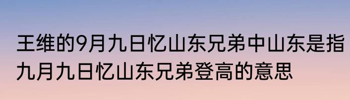 王维的9月九日忆山东兄弟中山东是指　九月九日忆山东兄弟登高的意思