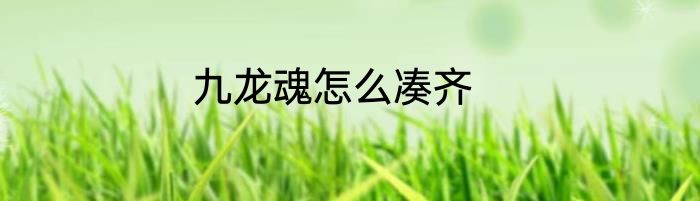 九龙魂怎么凑齐