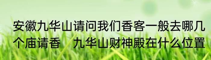 安徽九华山请问我们香客一般去哪几个庙请香　九华山财神殿在什么位置