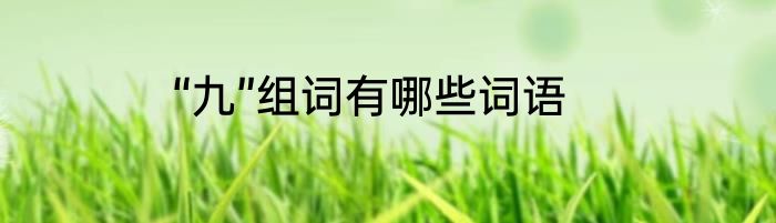 “九”组词有哪些词语