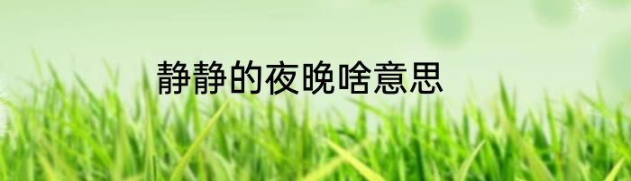 静静的夜晚啥意思