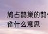 鸠占鹊巢的鹊什么意思　鸠占鹊巢的雀什么意思