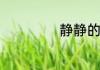 静静的夜晚啥意思