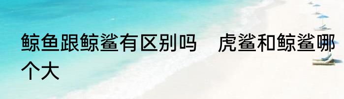 鲸鱼跟鲸鲨有区别吗　虎鲨和鲸鲨哪个大