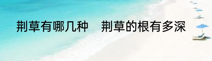 荆草有哪几种　荆草的根有多深