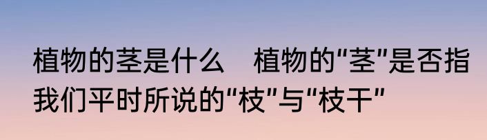 植物的茎是什么　植物的“茎”是否指我们平时所说的“枝”与“枝干”