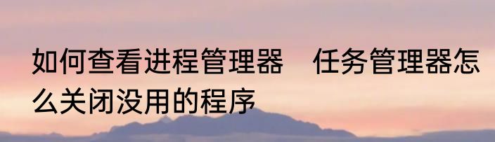 如何查看进程管理器　任务管理器怎么关闭没用的程序