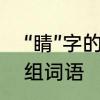 “睛”字的组词有哪些　眼睛的睛怎么组词语