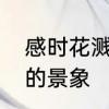 感时花溅泪，恨别鸟惊心描绘了怎样的景象