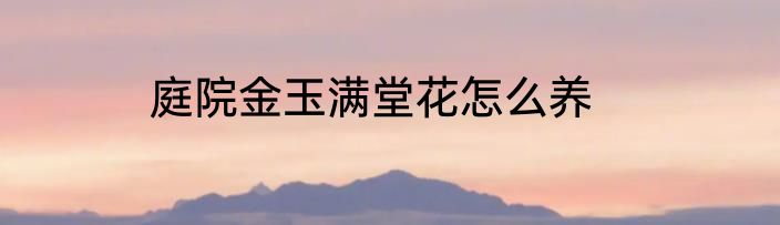 庭院金玉满堂花怎么养
